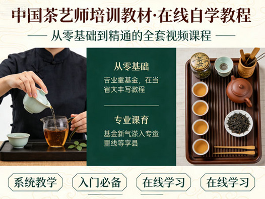 茶艺茶道全套视频课程中国茶艺师培训教材在线自学入门零基础至精通教程